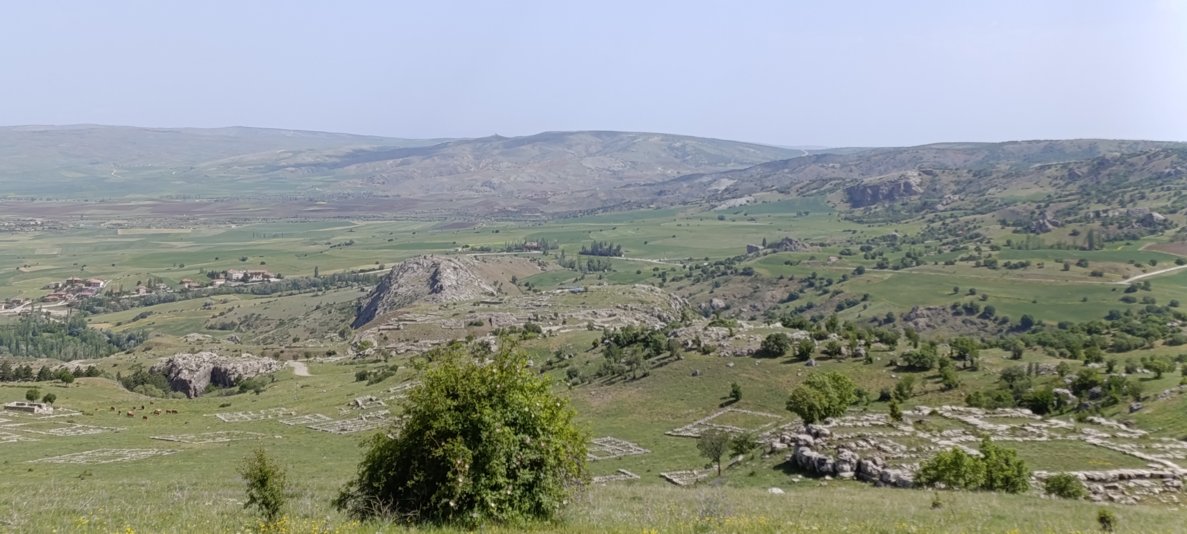 Ankara